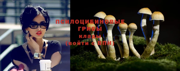 МДПВ Киренск
