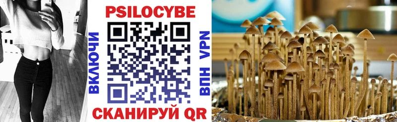 Галлюциногенные грибы Psilocybe  где купить наркоту  Иваново 