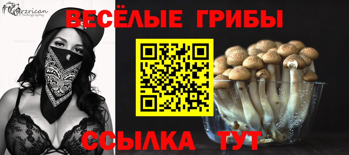 Псилоцибиновые грибы мухоморы Иваново